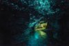 Waitomo glow worm caves - North Island - NZ.jpg