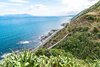 The Paekakariki Escarpment Track.jpg