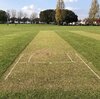 Blog the 2nd wicket southchurch park.jpg