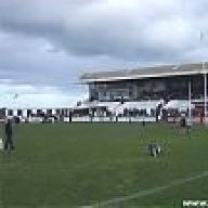 Morris Street Specialist