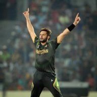 Afridi Cat