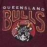 Bulls 2 win Shield