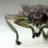 fly on the wall